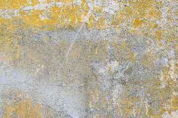Old painted cement wall tecture