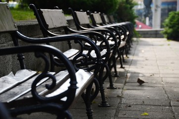 Park Benches