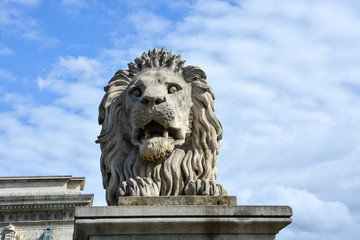 Lion statue on the Chain Bridge  in Budapest