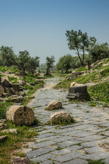 Umm Qais site ruins road detail