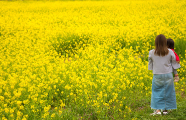 Fototapeta premium ・菜の花・赤ちゃん・抱っこ