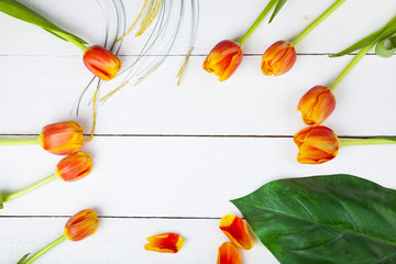 Tulips on a white wooden background
