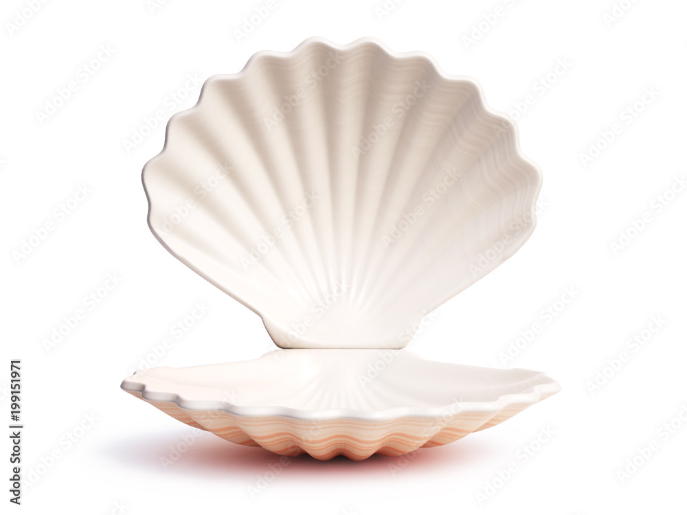 Fototapete Empty open seashell 3d rendering