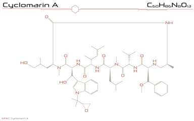 Large and detailed infographic of the molecule of Cyclomarin A