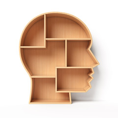 Bookshelves in the shape of human head, education book shelf concept 3d rendering 