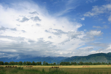  The most beautiful Altai mountains are drowning in low-flying clouds, the field with hay or straw rolls is lit by the sun, green bushes, vast expanses, meadow grasses.