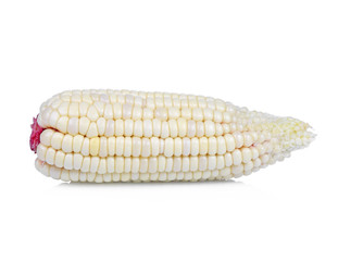 fresh corn isolated on white background