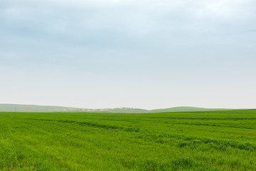 Fototapeta na wymiar Brightly green farmlands