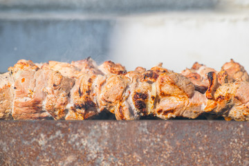 grilling meat on fire Shashlik