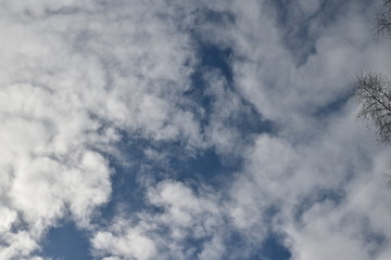 Fototapeta premium sky