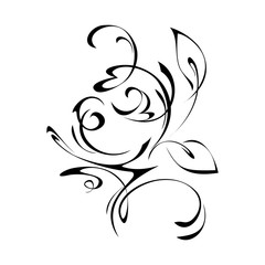 ornament 246. abstract pattern with leaves in black lines on a white background