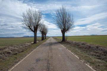 Fototapeta na wymiar Road through the countryside of the province of Zaragoza.