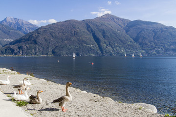 Como lake Italy
