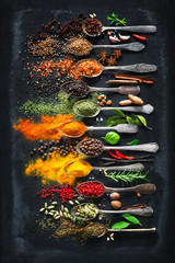 Herbs and spices for cooking on dark background