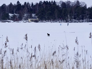 Winter of Finland