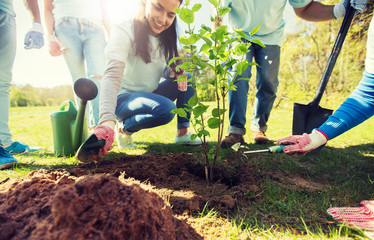 volunteering, charity, people and ecology concept - group of volunteers hands planting tree...
