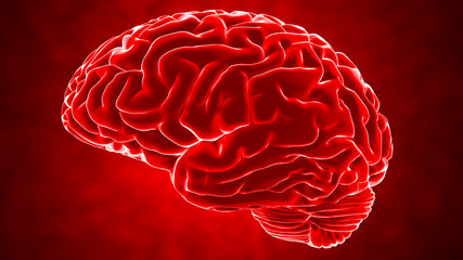 Human brain 3D render - obrazy, fototapety, plakaty