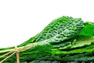 Bunch of organic kale, Lacinato Kale, freshly harvested isolated on white background with copy space. Kale is a super food, Healthy raw eating.