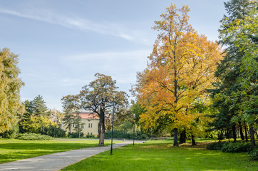 Fototapeta na wymiar Villa near the park in Novi Sad - Serbia 