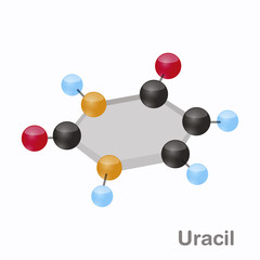 Uracil HexNut, U. Pyrimidine nucleobase molecule. Present in DNA. 3D vector illustration on white background