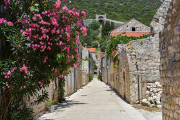 Fototapeta na wymiar narrow romantic street between houses in village in croatia 