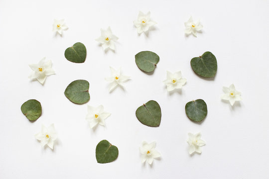 Styled stock photo. Feminine spring desktop composition with white narcissus, daffodil flowers and dry green eucalyptus leaves on white background. Floral pattern. Empty space. Flat lay, top view.