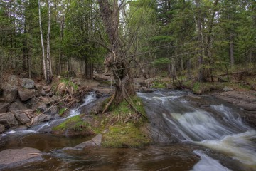 Obraz premium Congdon Park in Duluth, Minnesota during Fall
