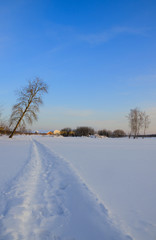Fototapeta na wymiar Footpath in snow.Frosty winter landscape with growing trees.Sunny morning 