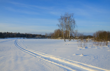 Obraz premium Track of snow mobile..Frosty winter landscape with trees in forest.Sunny morning
