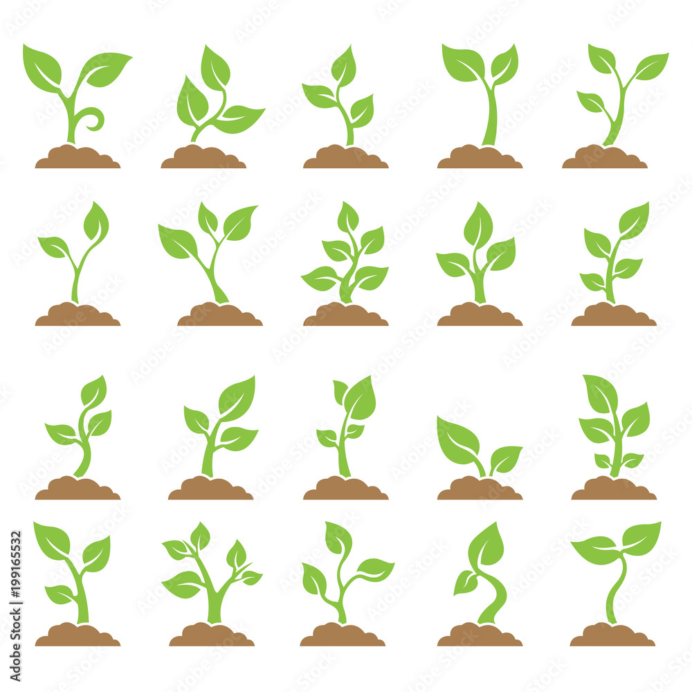 Wall mural Set of planted seedlings in the ground. Icons. Vector illustration on white background