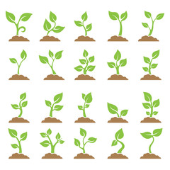 Fototapeta premium Set of planted seedlings in the ground. Icons. Vector illustration on white background