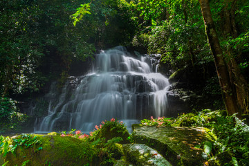 Obraz premium Mun daeng Waterfall, the beautiful waterfall in deep forest at Phu Hin Rong Kla National Park ,Phitsanulok, Thailand