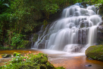 Obraz premium Mun daeng Waterfall, the beautiful waterfall in deep forest at Phu Hin Rong Kla National Park ,Phitsanulok, Thailand