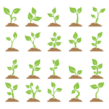 Set of planted seedlings in the ground. Icons. Vector illustration on white background