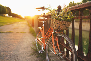 Beau vélo avec des fleurs dans un panier se dresse dans la rue