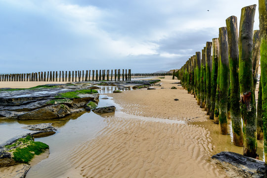 Wooden breakwater ons beach of Wissant, cote opale, France