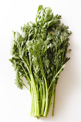 Wormwood herb on white background 