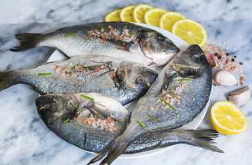 Fresh Raw Sea Bream Fish with Lemon on a Marble Background