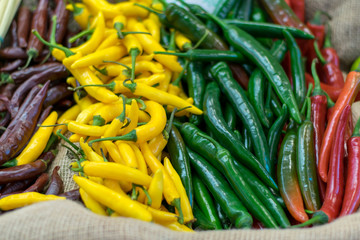 Variety of peppers in the market.