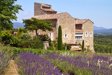 Beatiful house is situated near blooming lavender, Provence, France.