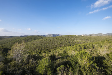 Fototapeta na wymiar Natural Park of Garraf