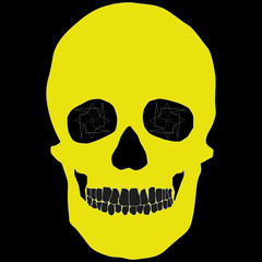 Human Skull Geometry and Design