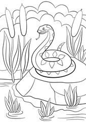 Coloring pages. Cute viper lies on the stone.