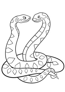 Coloring pages. Two little cute vipers smile.