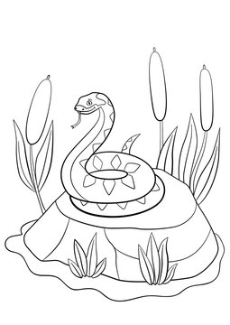 Coloring pages. Cute viper lies on the stone.
