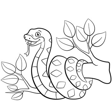 Coloring pages. Little cute viper on the tree.