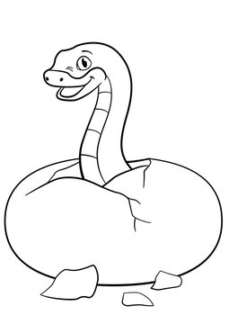 Coloring pages. Little cute baby viper smiles.