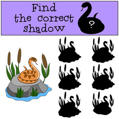 Fototapeta premium Educational game: Find the correct shadow. Little cute viper.
