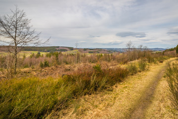 Nordhelle im Frühling