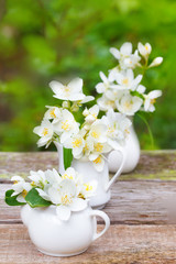 Fresh jasmine flowers in three small porcelain vases on wooden background